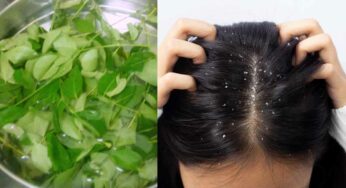 Curry Leaves For Dandruff : క‌రివేపాకుల‌తో ఇలా చేస్తే.. జుట్టు మొత్తం శుభ్ర‌మ‌వుతుంది.. చుండ్రు అన్న‌ది ఉండ‌దు..