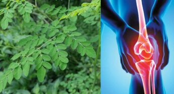 Drumstick Leaves : కీళ్ల నొప్పులు, బీపీ, షుగ‌ర్‌ను త‌రిమికొట్టే ఆకు ఇది.. ఎలా ఉప‌యోగించాలంటే..?