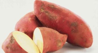 Sweet Potato : చ‌లికాలంలో చిల‌గ‌డ‌దుంప‌ల‌ను త‌ప్ప‌క తినాలి.. ఎందుకో తెలిస్తే ఆశ్చ‌ర్య‌పోతారు..!