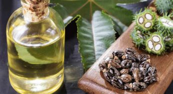 Castor Oil : ఆముదంతో అన్ని వ్యాధుల‌ను న‌యం చేసుకోవ‌చ్చు.. ఎలాగంటే..?
