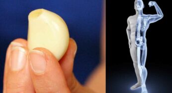 Garlic For Bones Health : వీటిని రోజుకు 4 తింటే చాలు.. అంతులేని బ‌లం.. ఎముక‌లు ఉక్కులా మారుతాయి..!