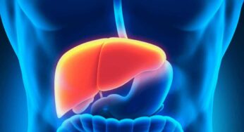 Liver Clean : దీన్ని తాగితే లివ‌ర్ మొత్తం క్లీన్ అవుతుంది.. మొత్తం క‌ణాల‌న్నీ పున‌రుత్తేజం అవుతాయి..