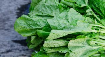 Mustard Leaves : ఈ మొక్క ఆకులు ఎక్క‌డ క‌న‌బ‌డినా స‌రే.. విడిచిపెట్ట‌కుండా తినండి.. ఎన్ని లాభాలు క‌లుగుతాయో తెలుసా..?