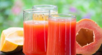 Papaya Juice : బొప్పాయి పండ్ల జ్యూస్‌ను ఇలా చేయాలి.. రోజూ తాగితే ఎన్నో లాభాలు..