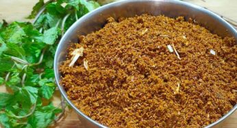 Pudina Karam Podi : ఎంతో రుచిక‌ర‌మైన పుదీనా కారం పొడి త‌యారీ ఇలా.. అన్నంలో మొద‌టి ముద్ద‌లో తినాలి..