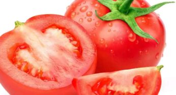 Tomatoes : ట‌మాటాల‌ను రోజూ తింటున్నారా.. అయితే ముందు ఈ నిజాల‌ను తెలుసుకోండి..!