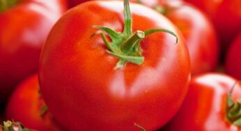 Tomatoes : ట‌మాటాల‌ను తినే విష‌యంలో ఎట్టి ప‌రిస్థితిలోనూ ఈ పొర‌పాట్లు చేయ‌కండి..!