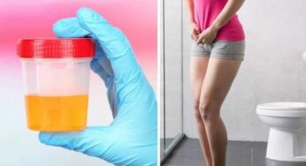 Urine Infection : ఒంట్లో వేడి, మూత్రంలో మంట, యూరిన్ ఇన్ఫెక్షన్.. తగ్గాలంటే ఇలా చేయాలి..!