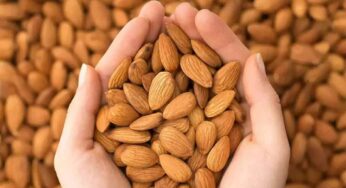 Almonds : చాలా మందికి తెలియ‌దు.. అస‌లు రోజుకు ఎన్ని బాదంప‌ప్పుల‌ను తినాలో తెలుసా..?