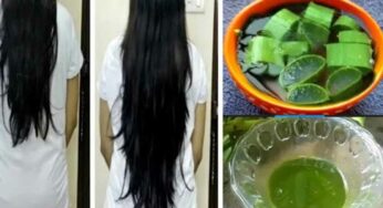 Black Hair : క‌ల‌బందలో ఇది క‌లిపి రాస్తే.. మీ జుట్టు న‌ల్ల‌గా మారుతుంది..!