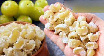 Amla Candy : ఉసిరికాయ‌ల‌ను ఇలా నిల్వ చేస్తే.. ఏడాదిపాటు తిన‌వ‌చ్చు.. ఎంతో ఆరోగ్య‌క‌రం..