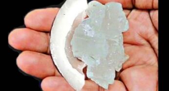 Dry Coconut Patika Bellam : దీన్ని రోజూ తీసుకున్నారంటే.. ముస‌లిత‌నం రాదు.. కీళ్లు, మోకాళ్ల నొప్పులు ఉండ‌వు..