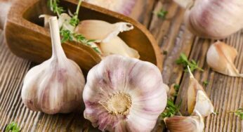 Garlic : వెల్లుల్లిని ఎవ‌రెవ‌రు తిన‌కూడ‌దో తెలుసా..?