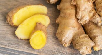 Ginger : అల్లంలో దాగి ఉన్న ఆరోగ్య ర‌హ‌స్యాలు ఇవే.. త‌ప్ప‌క తెలుసుకోవాల్సిందే..!