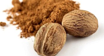 Jajikaya : దీని గురించి తెలుసా.. కొలెస్ట్రాల్‌ను త‌గ్గిస్తుంది.. న‌రాల‌ను యాక్టివేట్ చేస్తుంది..