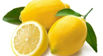 Lemon : ఆయుర్వేద ప‌రంగా నిమ్మ‌కాయ‌ల‌ను ఇలా ఉప‌యోగించుకోవ‌చ్చు.. ఎన్నింటికి ప‌నిచేస్తాయంటే..?