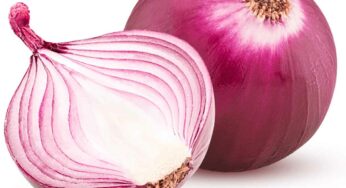 Onions : ఆయుర్వేద ప‌రంగా ఉల్లిపాయ‌ల‌తో ఎన్ని ప్ర‌యోజ‌నాలు క‌లుగుతాయో తెలుసా..?