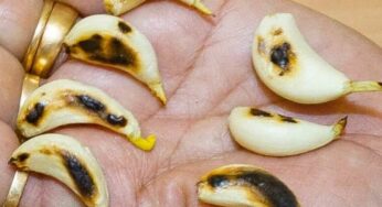 Roasted Garlic For Fat : వీటిని రోజూ తింటే చాలు.. పొట్ట‌, తొడ‌ల చుట్టూ ఉండే కొవ్వు క‌రిగిపోతుంది..!