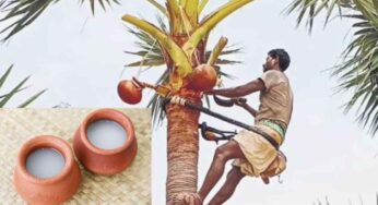 Toddy : క‌ల్లు తాగితే మంచిదేనా..? విస్తుగొలుపుతున్న నిజాలు..!