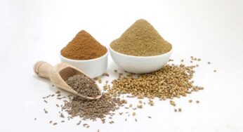 Cumin And Coriander Seeds : రోజూ ఒక స్పూన్ చాలు.. ఛాతిలో క‌ఫం, దగ్గు, మ‌ల‌బ‌ద్ద‌కం, గ్యాస్ ఉండ‌వు.. కొవ్వు క‌రుగుతుంది..!