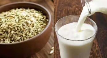 Fennel Seeds Ginger Milk : దీన్ని రోజూ రాత్రి తాగితే చాలు.. జీర్ణ స‌మ‌స్య‌లు ఉండ‌వు.. క‌ఫం పోతుంది..!