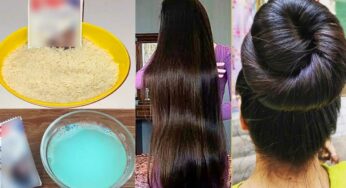 Rice And Aloe Vera For Hair : షాంపూలో ఇది క‌లిపి జుట్టుకు రాయండి.. జుట్టు రాల‌మ‌న్నా రాల‌దు..!