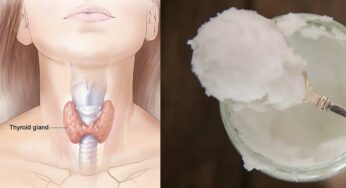 Thyroid Foods : వీటిని తీసుకుంటే చాలు.. థైరాయిడ్ చాలా త్వ‌ర‌గా అదుపులోకి వ‌స్తుంది..!