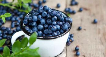 Blueberries : ఈ పండ్ల గురించి తెలుసా.. రోజూ తింటే ఎన్ని ప్ర‌యోజ‌నాలు క‌లుగుతాయంటే..?