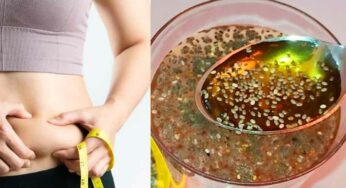 Chia Seeds For Belly Fat : దీన్ని తీసుకుంటే చాలు.. పొట్ట ద‌గ్గ‌ర పేరుకుపోయిన ఎలాంటి కొవ్వు అయినా స‌రే క‌రుగుతుంది..!