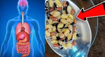Healthy Foods : ఈ మూడింటినీ నాన‌బెట్టి రోజూ తినండి.. ఎన్నో వ్యాధులు న‌య‌మ‌వుతాయి..!
