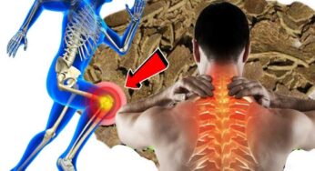 Pains : ఈ చిట్కా వాడితే కీళ్ల నొప్పులు, న‌డుం నొప్పి, కాళ్లు, చేతుల నొప్పులు.. అన్నీ చిటికెలో మాయం..!