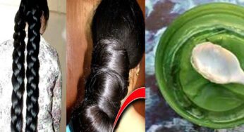 Aloe Vera And Olive Oil : దీన్ని జుట్టుకు రాసి చూడండి.. జుట్టు పెరుగుదల చూసి ఆశ్చర్యపోతారు..!