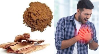 Arjuna Tree Bark For Heart : దీన్ని రోజూ ఇంత తింటే చాలు.. జీవితంలో అసలు హార్ట్‌ ఎటాక్‌ రాదు..!