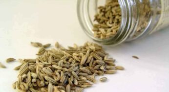 Cooling Seeds : ఈ గింజ‌ల‌ను రోజూ తినండి.. వేస‌వి, ఎండ‌ను త‌రిమికొట్టండి..!