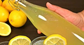 Lemon Squash : నిమ్మ పాకం.. తక్కువ టైంలో ఇంట్లో ఉన్న వాటితోనే ఇలా త‌యారు చేయ‌వ‌చ్చు.. బెస్ట్ స‌మ్మ‌ర్ డ్రింక్‌..