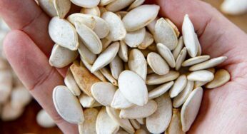 Pumpkin Seeds : ప్ర‌పంచ మేధావులు తినే ఆహారం ఇదే.. దీన్ని తింటే మెద‌డు అద్భుతంగా ప‌నిచేస్తుంది..!