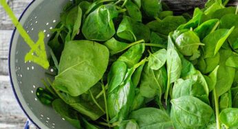 Spinach : షుగ‌ర్‌, అధిక బ‌రువు, కంటి చూపు.. ఎన్నింటికో చెక్ పెడుతుంది.. త‌ర‌చూ తినాలి..!