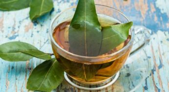 Bay Leaves Tea : బిర్యానీ ఆకుల‌తో టీ.. ఇలా చేసి తాగండి.. వంద‌ల వ్యాధుల‌ను త‌రిమికొట్టండి..!