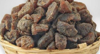 Dry Amla : శ‌రీరంలో వ‌ణుకు, న‌రాల బ‌ల‌హీన‌త‌, షుగ‌ర్‌.. అన్నీ మాయం..!