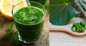 Giloy Juice : తిప్ప తీగ జ్యూస్‌ను అస‌లు రోజూ ఎంత మోతాదులో తీసుకోవాలి..? తెలుసుకోక‌పోతే న‌ష్ట‌పోతారు..!