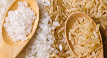 Brown Rice Vs White Rice : బ్రౌన్ రైస్‌, వైట్ రైస్‌.. రెండింటి మ‌ధ్య తేడాలు.. ఏవి ఎలా ఉప‌యోగ‌ప‌డ‌తాయి..?