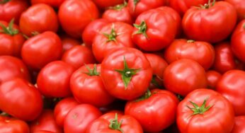 Tomatoes : ధ‌ర ఎక్కువ ఉండి ట‌మాటాల‌ను వాడ‌లేక‌పోతున్నారా.. వాటికి బ‌దులు వీటిని ఉప‌యోగించ‌వ‌చ్చు..!
