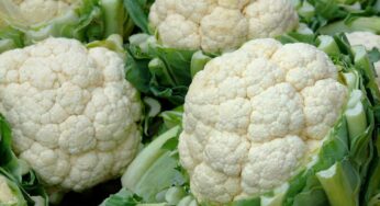 Cauliflower : ఈ స‌మ‌స్య‌లు ఉన్న‌వారు కాలిఫ్ల‌వ‌ర్‌ను అస‌లు తిన‌కూడ‌దు..!