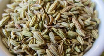 Daily One Spoon Fennel Seeds : రోజూ ఒక్క స్పూన్ సోంపు గింజ‌ల‌ను తింటే.. ఏం జ‌రుగుతుందో తెలుసా..?