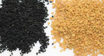 Fenugreek And Kalonji Seeds : మెంతుల‌ను వీటితో క‌లిపి తీసుకుంటే.. ఎన్నో అద్భుత‌మైన ప్ర‌యోజ‌నాలు క‌లుగుతాయి..!