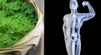 Foods For Bones Health : రోజూ పిడికెడు చాలు.. ఎముక‌లు బ‌లంగా మారుతాయి..!