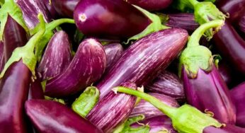 Brinjal : ఈ స‌మ‌స్య‌లు ఉన్న‌వారు వంకాయ‌ల‌ను అస‌లు తిన‌కూడ‌దు..!