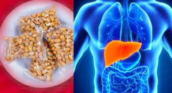 Healthy Foods For Liver Detox : రోజూ గుప్పెడు చాలు.. లివ‌ర్ శుభ్ర‌మ‌వుతుంది.. అన్ని ర‌కాల విట‌మిన్లు ల‌భిస్తాయి..!