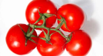 Tomatoes Benefits : ట‌మాటాల‌ను అస‌లు ఎవ‌రెవ‌రు తిన‌వ‌చ్చు.. త‌ప్ప‌క తెలుసుకోవాల్సిన విష‌యాలు..!