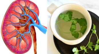 Coriander Leaves Water For Kidneys : ఈ పానీయాన్ని రోజూ తాగితే చాలు.. మీ కిడ్నీలు క్లీన్ అయిపోతాయి..!